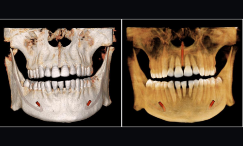 Untitled design - 2026-01-09T133318.395